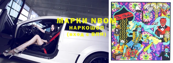 крисы Алексин
